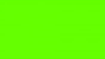 Preview 1 of Sunny Leone Wrong Hole Xxxx - green screen