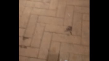 Preview 3 of Anal Solo Mfc - VID 20180309 113944425