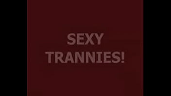 Preview 1 of Girl Trash Tube - Live Tranny Cum 156