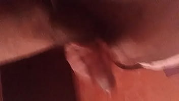 Preview 1 of Sorbet - VID-20180225-WA0013