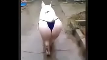 Preview 2 of Deni Deni Els - Peppa pig sexy