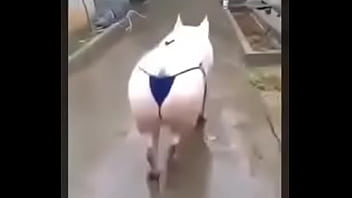 Preview 4 of Deni Deni Els - Peppa pig sexy