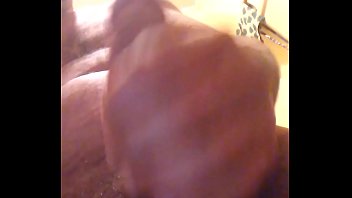 Preview 2 of Move Xn Vide - 20180218 222305