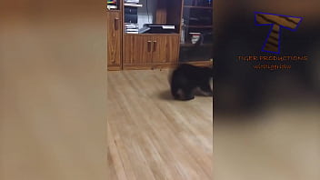 Preview 1 of Phim Ww Heyzo Com - hairy pussy funny