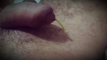 Preview 2 of Desk Salave - Delicia la&ccedil_ando o touro.