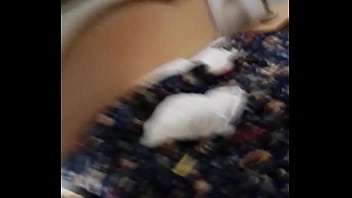 Preview 4 of Xxx Amilsh - 20180209 192255