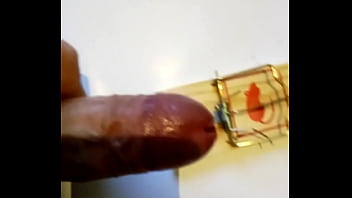 Preview 2 of 3daffect - Penis in mousetrap