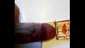 Preview 1 of 3daffect - Penis in mousetrap