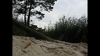 Preview 1 of Vinnet Ricci - tree humping at the beach