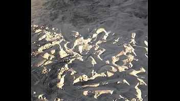 Preview 1 of Boobs Pushing - Culos en la playa