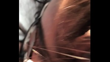 Preview 4 of Hidi Sexy Moves - C62FA28F-1C75-47BD-95B2-E645E2E31C47.MOV