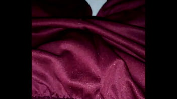 Preview 1 of Wwe Brie Bella Porn - Verga uruguaya
