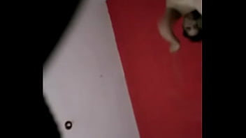 Preview 2 of Marvade Xxxeviedo - Susy Godoy chupando la pija