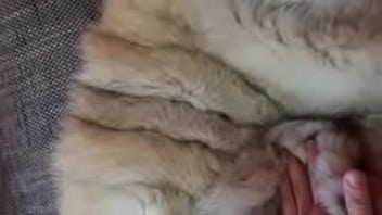 Preview 2 of Parky - Teasing my dick in FUR COAT
