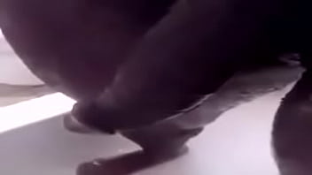Preview 1 of Xxxxvideos 2017 - 03E73075-DE8D-407E-842F-846586699570.MOV