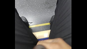 Preview 4 of Insects On Pussy - On the train