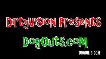 Preview 1 of Swed Tunand - DogOutsdotcom