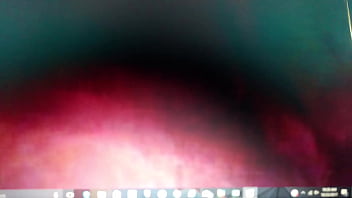 Preview 3 of Horses Can - VIDEO0053