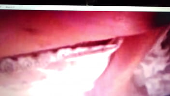 Preview 1 of Horses Can - VIDEO0053