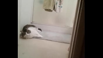 Preview 3 of Saree Doggy Fuck - Helen in the bathroom