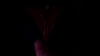 Preview 1 of Xosabriinaxo Fun Solo - cuming in step moms panties