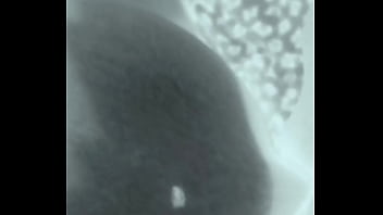 Preview 4 of White Guy Tube - Chupando o Peitinho Raio-X