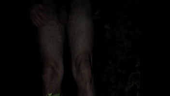 Preview 4 of Lindsay Lohan Boob Slip - IMG 3240[1].MOV