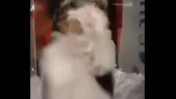 Preview 4 of Abg Belum Bulu - Perro bailando ajajjajajaaaj