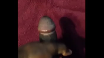 Preview 1 of More Indian - Big Black BBC jerking off and shooting cumshot