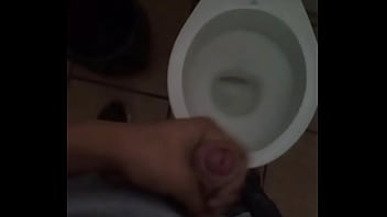 Preview 2 of Girls Dogs Fuck - Punheta no banheiro publico !!!