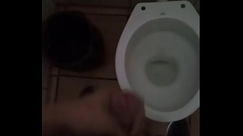Preview 1 of Girls Dogs Fuck - Punheta no banheiro publico !!!