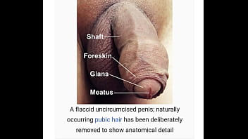 Preview 1 of Girl Rape First Time Nackt Xxx - Penis je i na wikipedii