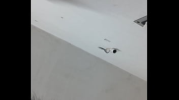 Preview 1 of Bollywood Gril - Verification video