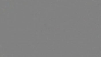 Preview 1 of New Zealand Tube Oil - jddb416