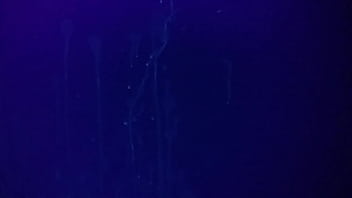 Preview 2 of Siberian Mouse Masha Nude - Cumshot stains above bed under blacklight comment please