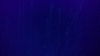 Preview 3 of Siberian Mouse Masha Nude - Cumshot stains above bed under blacklight comment please