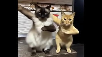 Preview 3 of Sunny Leon Super Sex - Gatitos esponjositos bailando