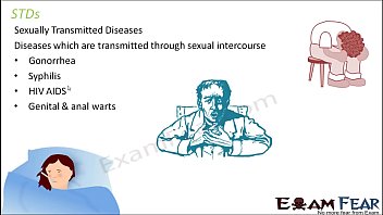 Preview 2 of Bear Fucking Daddy - Part 11 SRD Sexually Transmitted Disease