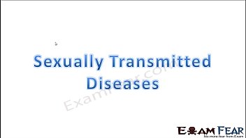 Preview 1 of Bear Fucking Daddy - Part 11 SRD Sexually Transmitted Disease