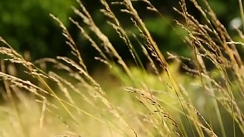Preview 4 of Geros Kul - Nude.! Một Thể Loại Kh&oacute_ - XEM V&Agrave_ C&Ugrave_NG NHAU HỌC -