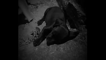 Preview 1 of Black Sex Xxxx Afrika Millk - V&iacute_deo de verifica&ccedil_&atilde_o