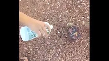 Preview 3 of Sexually Se - Lucas pissing off in Rezende ex girlfriend gift And putting fire