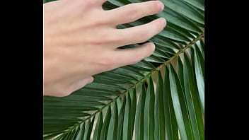 Preview 1 of Move Seri - malik hand 3