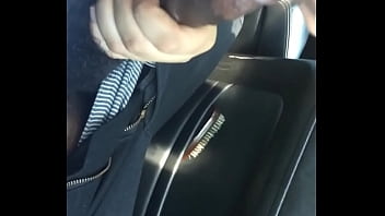 Preview 3 of Anemal Di - Getting head from a lil thot in the whip