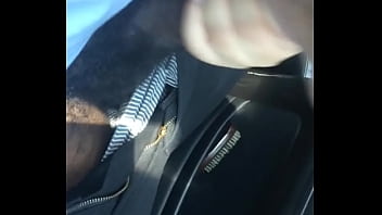 Preview 4 of Anemal Di - Getting head from a lil thot in the whip