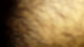 Preview 4 of Jepan Massage Forno - Ex novi@