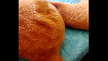 Preview 3 of Ordenando Pollas Leche - AZOTANDO A UN OSO (NO CLICKBAIT)