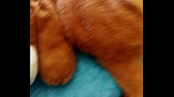 Preview 1 of Ordenando Pollas Leche - AZOTANDO A UN OSO (NO CLICKBAIT)