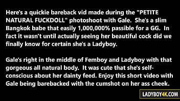 Preview 1 of Nba Canadiana - Hot Thai Ladyboy Gale Anal Fucking