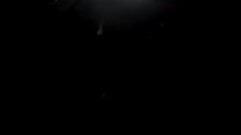 Preview 4 of Any Sexcomjapanese - firefly.MP4